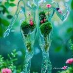 Rakib Islam