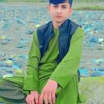 Sameer shinwari