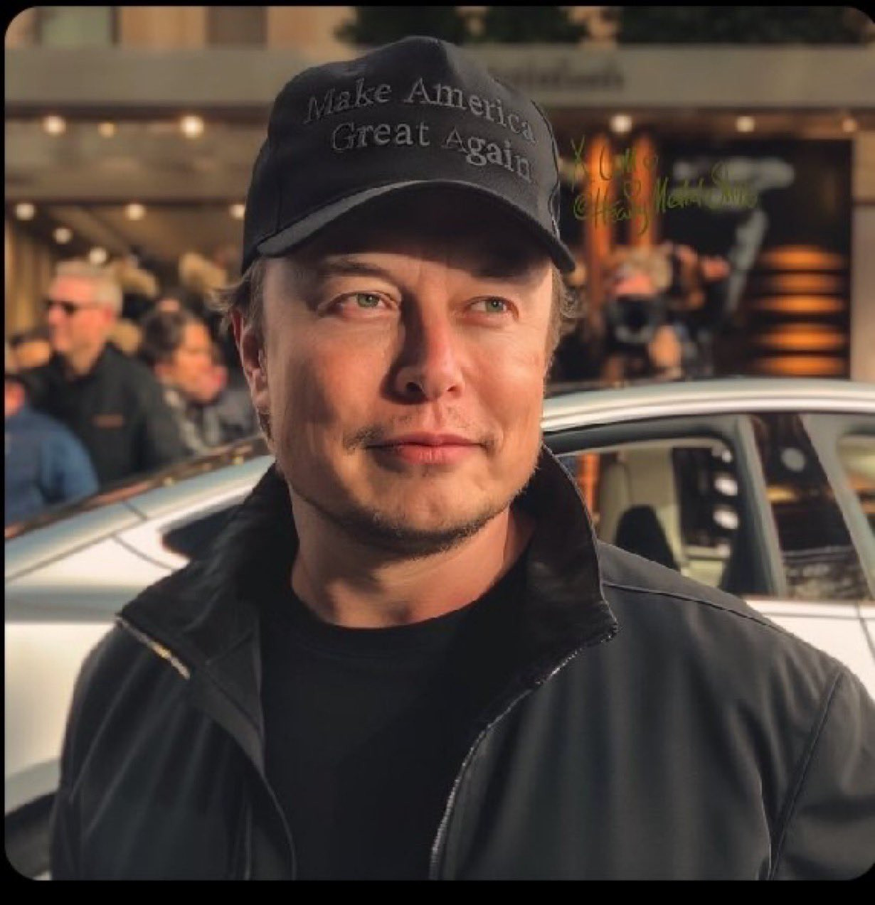 ELON MUSK CEO TESLA_COMPANY